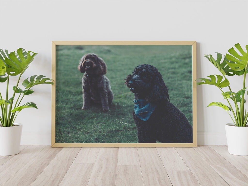 Lets talk printing