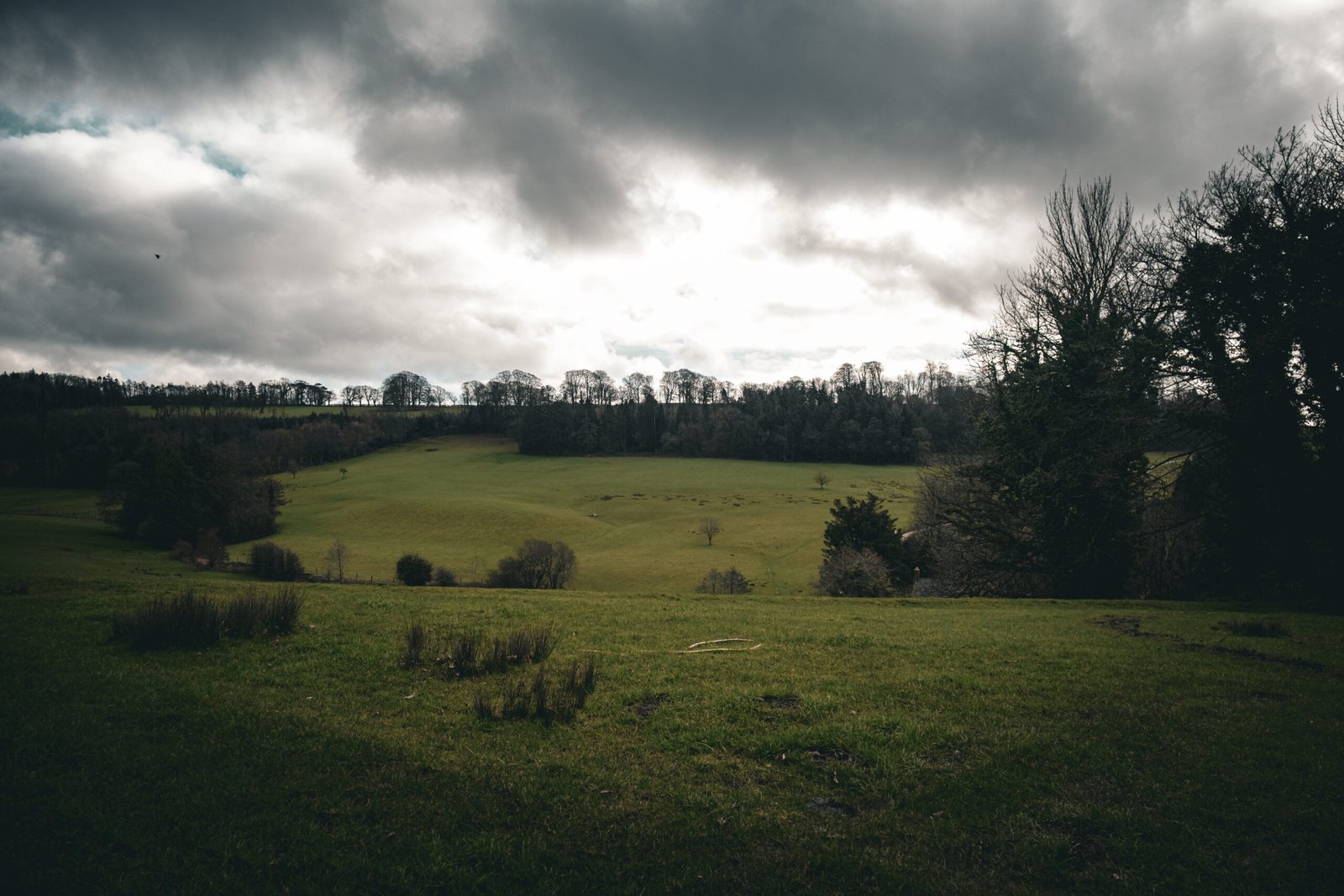 Cricket St Thomas landscape in Somerset