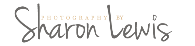 Photography By Sharon Lewis gold transparent v4